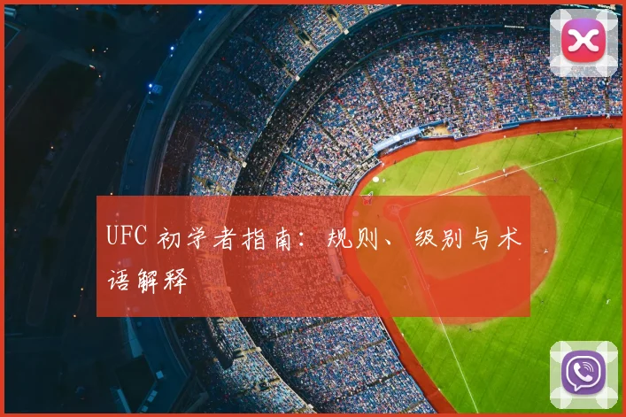UFC 初学者指南：规则、级别与术语解释