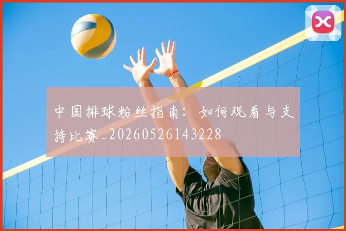 中国排球粉丝指南：如何观看与支持比赛_20260526143228