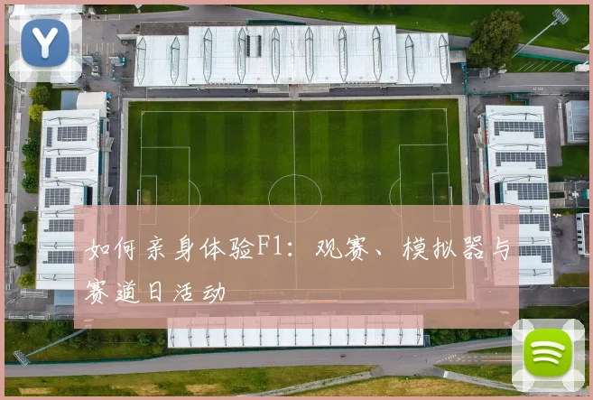 如何亲身体验F1：观赛、模拟器与赛道日活动
